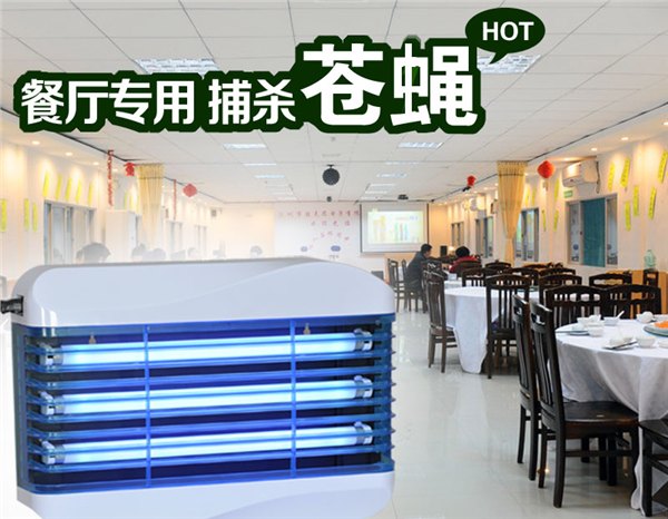 西餐厅专用粘捕式灭蝇灯电子灭蚊器价格