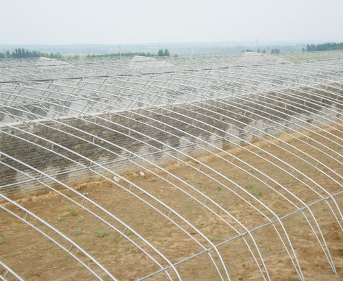 最好的温室建设厂家找青州金枝温室！养殖温室建设