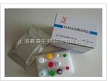 上海猪病类检测试剂盒