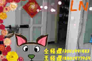 127V交流用指向仪
