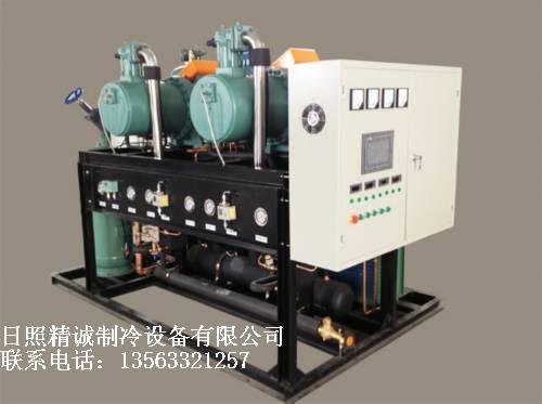 双极压缩机精诚制冷设备双极压缩机价格