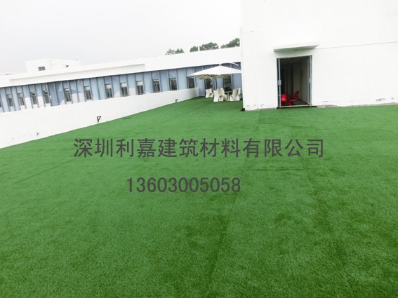 人造草坪 广东深圳 专业足球场人造草坪生产厂家