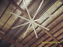 供应7米直径大风扇，上海爱朴专业生产超大型节能吊扇