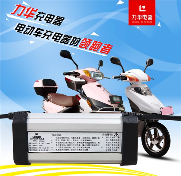 重庆力华电动车充电器