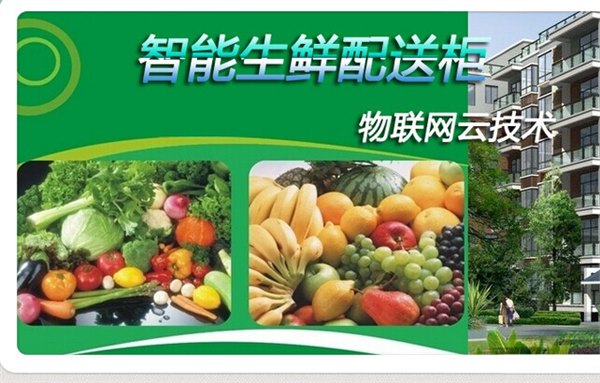 广东可靠的冷冻柜运输国际货运海运推荐