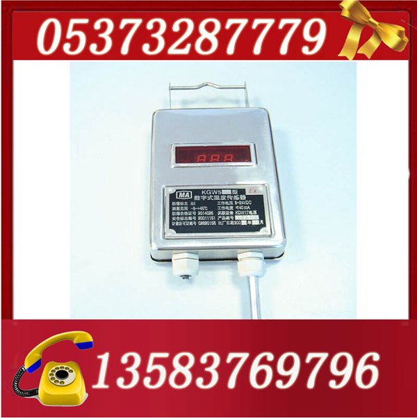 KGW5温度传感器