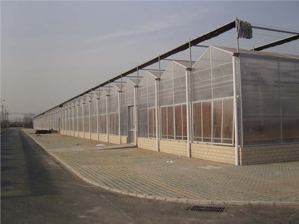 福建智能温室大棚|厦门黑土农业科技有限公司