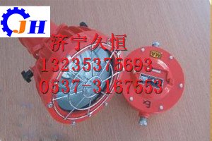 DGC175/127矿用隔爆型投光灯久恒防爆投光灯久恒运河价