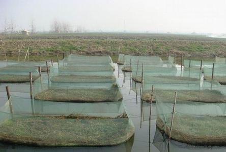 河北铭湾现货供应泥鳅养殖网箱《厂家 价格 图片》