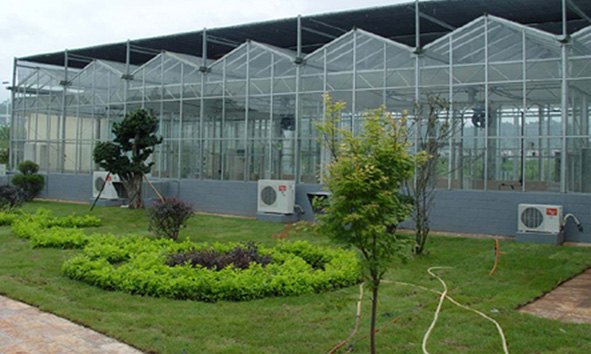 福建智能温控温室大棚|厦门黑土农业科技有限公司