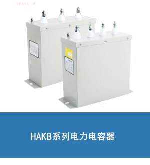 质保一年 电容 汇之华 BSMJ0.44-25-3
