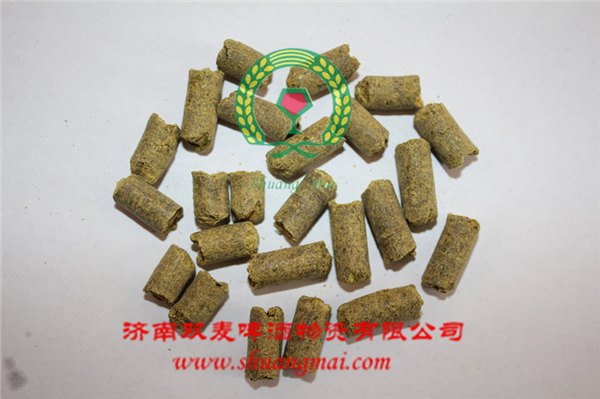 美国金牌酒花