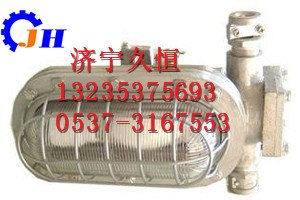 DGC35/127N隔爆型支架灯参数隔爆型支架灯DGC35/127N隔