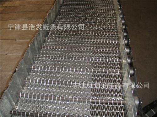浩发链条_浩发速冻网链_天水速冻网链