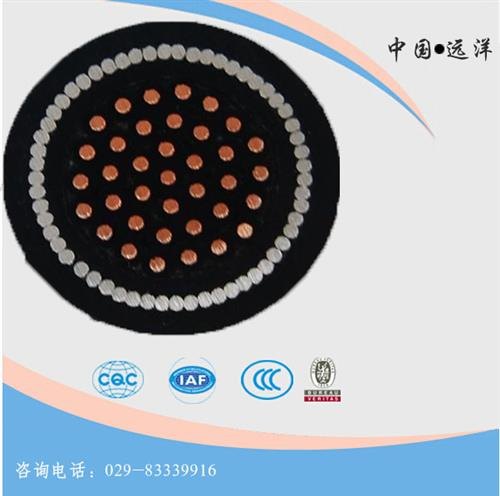 远洋电线电缆,遵义控制电缆,控制电缆10x15