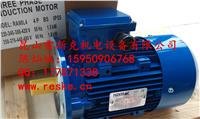 REXMAC电机RA132MA6 