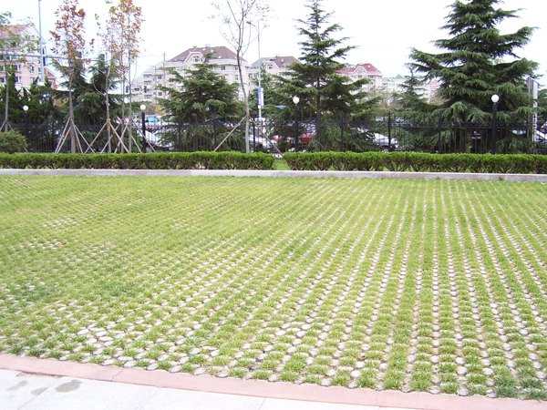 选购山东价格质量优的【植草地坪】，送您与众不同的