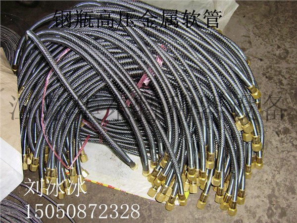 钢瓶高压金属软管