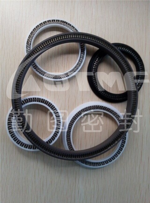孔用V型弹簧张力密封圈