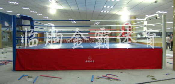 散打擂台_散打擂台生产厂家_散打擂台最新报