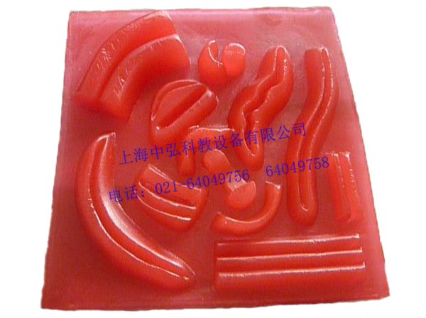 腹腔镜缝合模块，皮肤缝合模块，多技能肌肉皮肤缝合模型