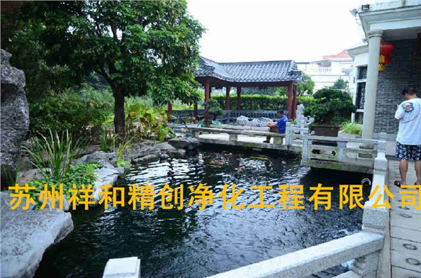 济南市室外景观鱼池水处理，给你鱼儿一个美好的环境