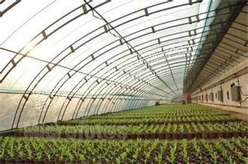 樱桃温室大棚建造【茄子育苗温室建造】黄瓜苗温室大