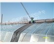 茄子苗温室大棚建造||杜鹃温室大棚建造||葡萄苗