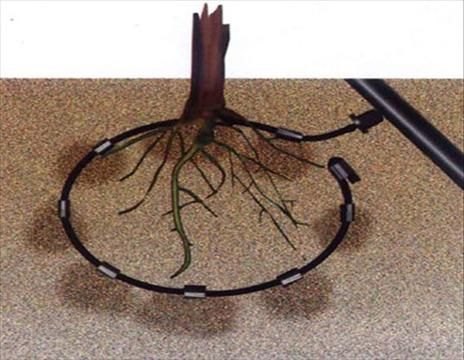 河南果树专用果树滴灌小管出流厂家优质销售