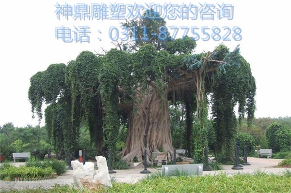 石家庄区域质量硬的青海仿真榕树制作首选石家庄神鼎