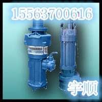 潜水泵厂家,榆林BQW300-50-75排污电泵