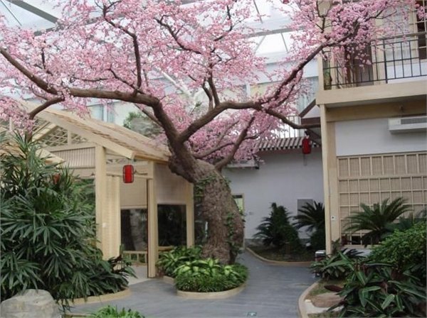 山东仿真植物设计 山东仿真植物工程 仿真植物场景