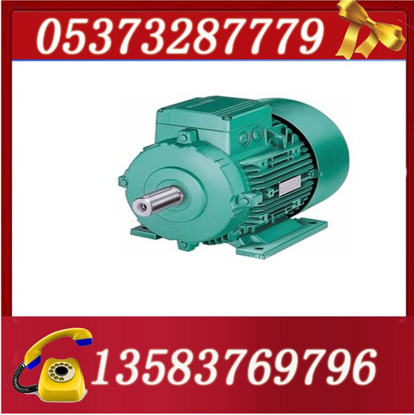 YBK2-355M2-6电机