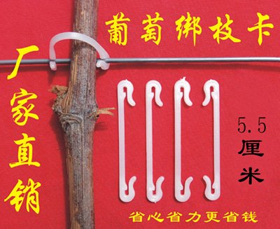 供应葡萄绑枝卡5.5厘米 葡萄种植 施肥技术 套袋技术  膨大去核技术