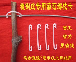 3毫米粗钢丝专用绑枝卡  葡萄醮药 奇宝 套袋技术 葡萄树苗 大棚葡萄