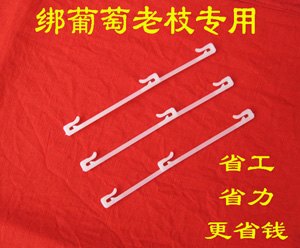 三卡头葡萄老枝绑枝卡 葡萄树冬季修剪 大棚葡萄 葡萄拉花 保花