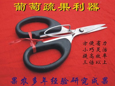 葡萄疏花疏果剪刀 希果剪 园艺剪刀 果树剪刀 拉花 保花保果 无核化