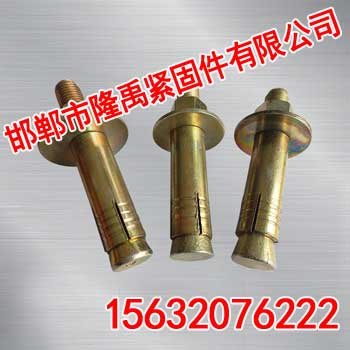 电梯膨胀栓【隆禹紧固件】地板膨胀栓厂家