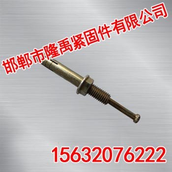 锤击壁虎【隆禹紧固件】锤击壁虎厂家