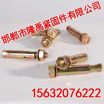 邯郸彩色套管壁虎【隆禹紧固件】彩色套管壁虎厂家