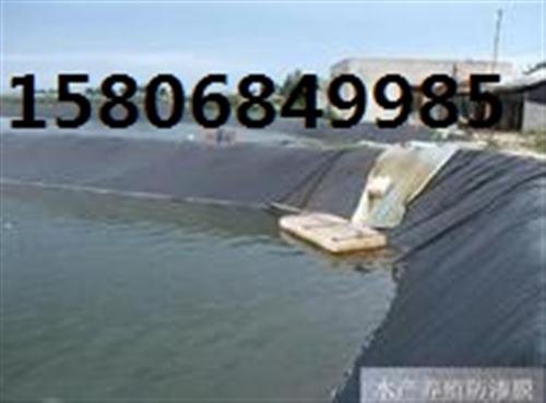 扬州复合土工膜山东防渗膜赵艳琴优质复合土工膜