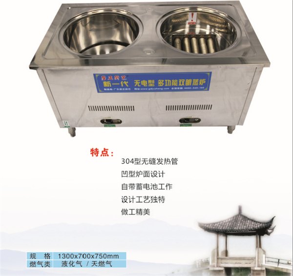 无电型双眼多功能蒸炉