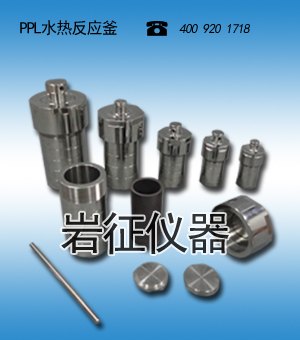 供应长沙高温水热反应釜