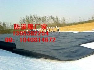 供应玉林人工湖底防渗膜厂家%梧州水库防渗膜厂家报价