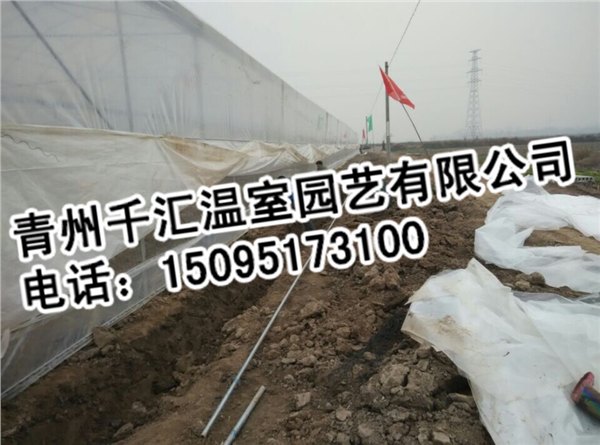 高性价薄膜温室大棚在哪里有供应