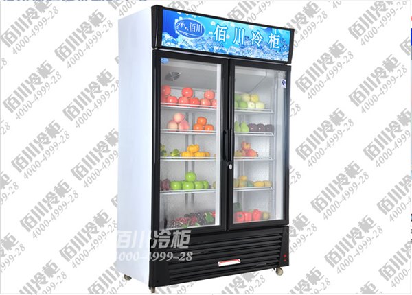 002 风冷/风直冷双门立式展示柜 