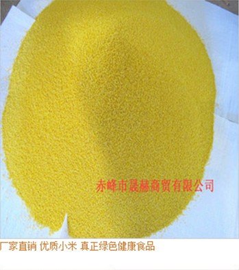 陕西哪里有小黄米加工厂//陕西小黄米出售【晟赫商