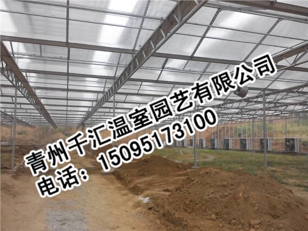 潍坊特价pc板温室哪有卖 建造pc板温室
