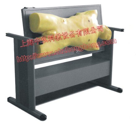 综合穿刺术与叩诊检查模型，综合穿刺术训练模型人