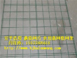 杏鲍菇网格规格 蘑菇网片批发厂家